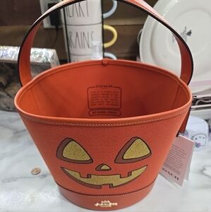 Coach ‘Pumpkin Bucket Bag’